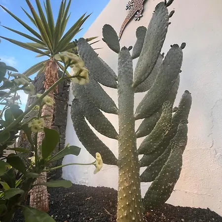 Casa Panadero's, 3 Bed With Heated Pool Playa Blanca (Lanzarote)