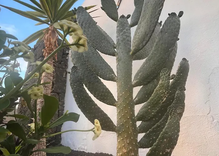 Casa Panadero's, 3 Bed With Heated Pool Playa Blanca (Lanzarote)